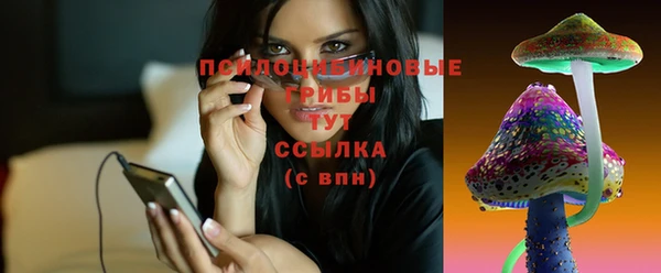 спайс Алексеевка
