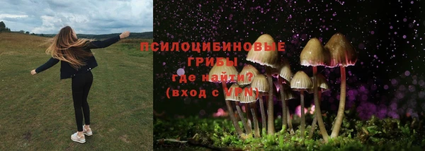 каннабис Алзамай