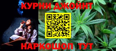 крисы Бийск