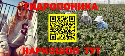соль курить ск Берёзовский