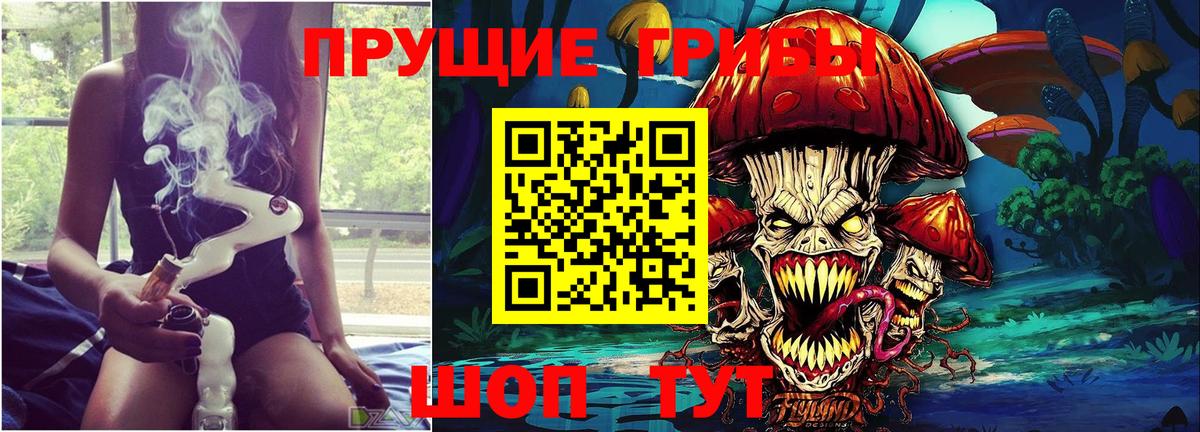Керчь  Галлюциногенные грибы Psilocybine cubensis  Вход с VPN  Псилоцибиновые грибы прущие грибы 